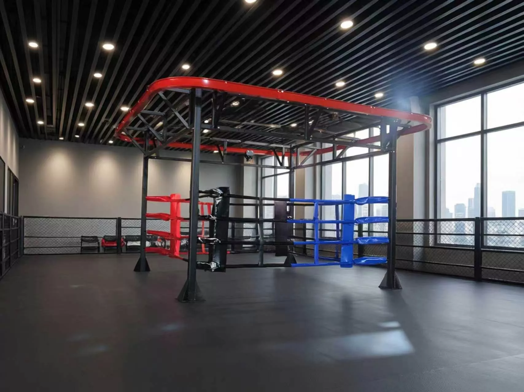 Wilt u ring sparren, zwaar zakwerk en functionele fitnesstraining combineren op één apparaat?