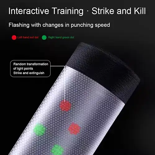 Musical Boxing Sandbag